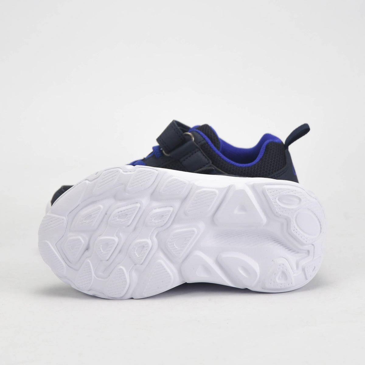 CHAMPION BASKET