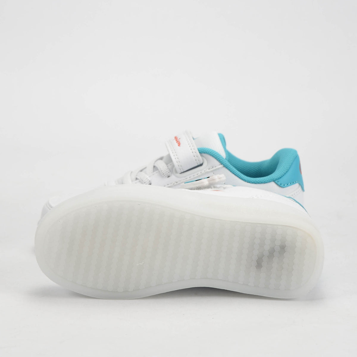CHAMPION BASKET