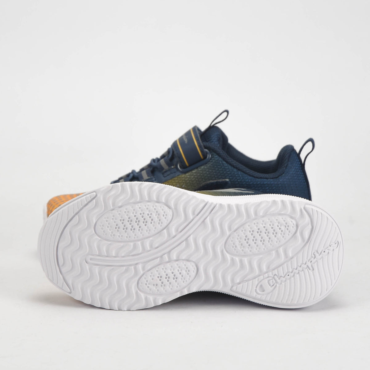 CHAMPION BASKET